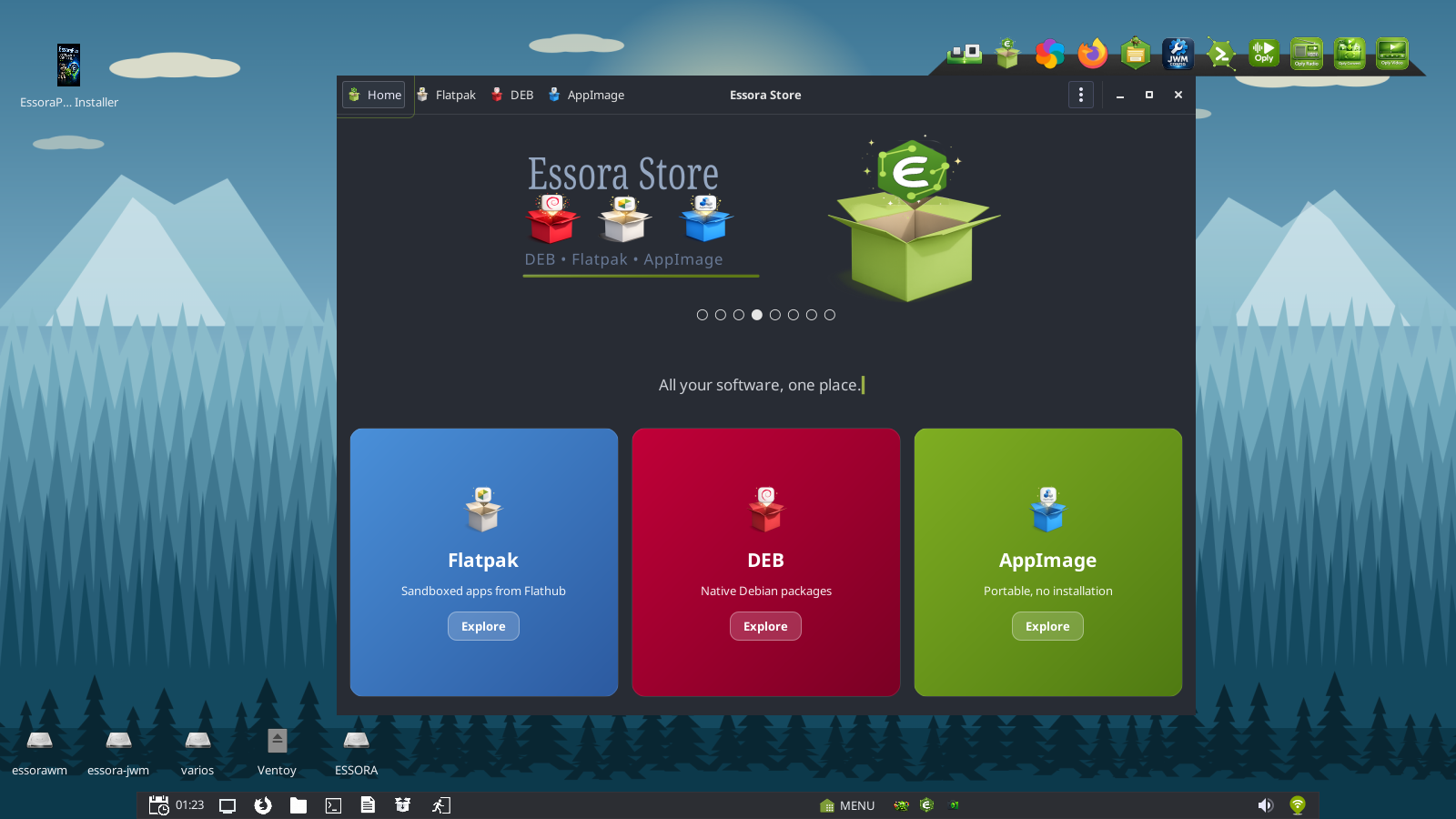 Essora Store application manager